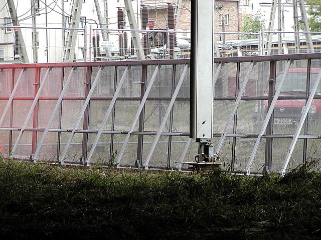 P8130346