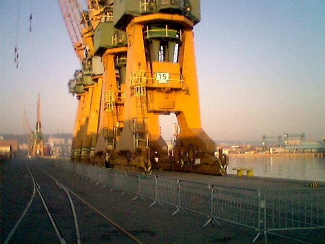 58860027