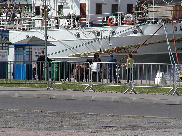 P6231926