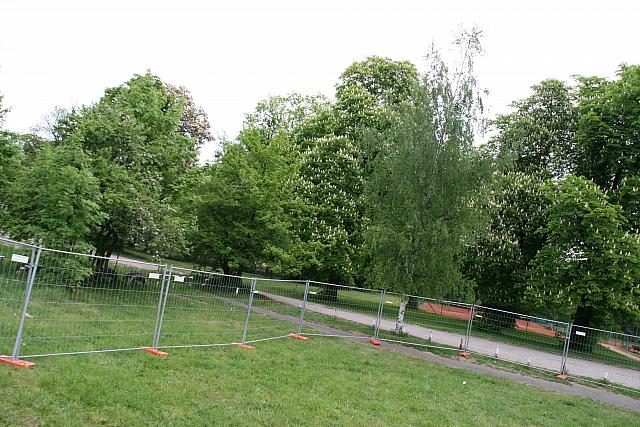 IMG 0906