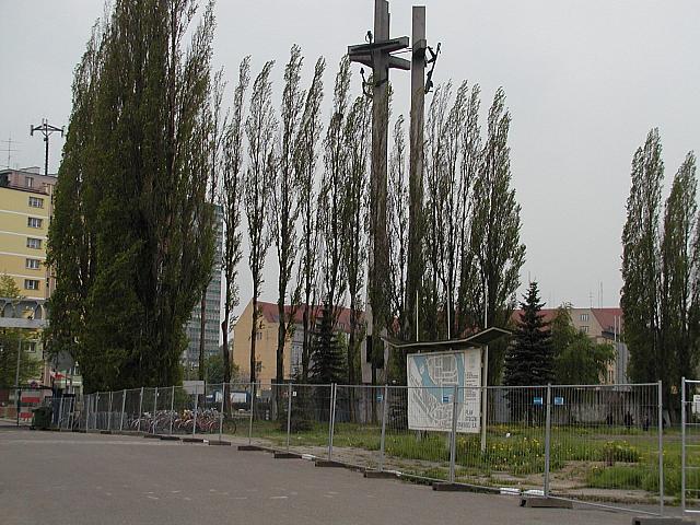 P5182196