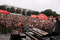 IMG 8690